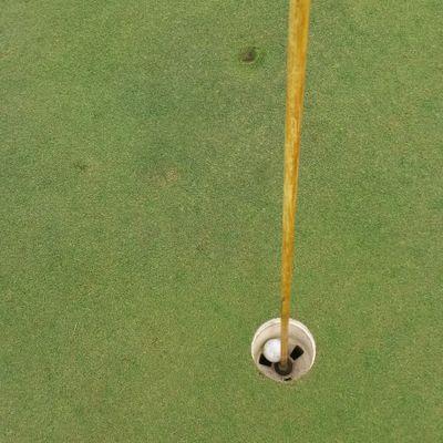 jddegraf's profile picture. MAHA 🇺🇸