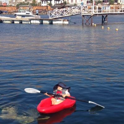 jorge_koch's profile picture. 