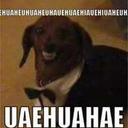 George Neves - @georgejogamuito - Twitter