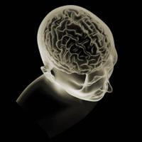 Lab of Neuro Imaging(@USCLONI) 's Twitter Profile Photo