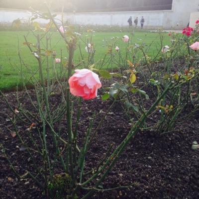 perkins_jean's profile picture. 