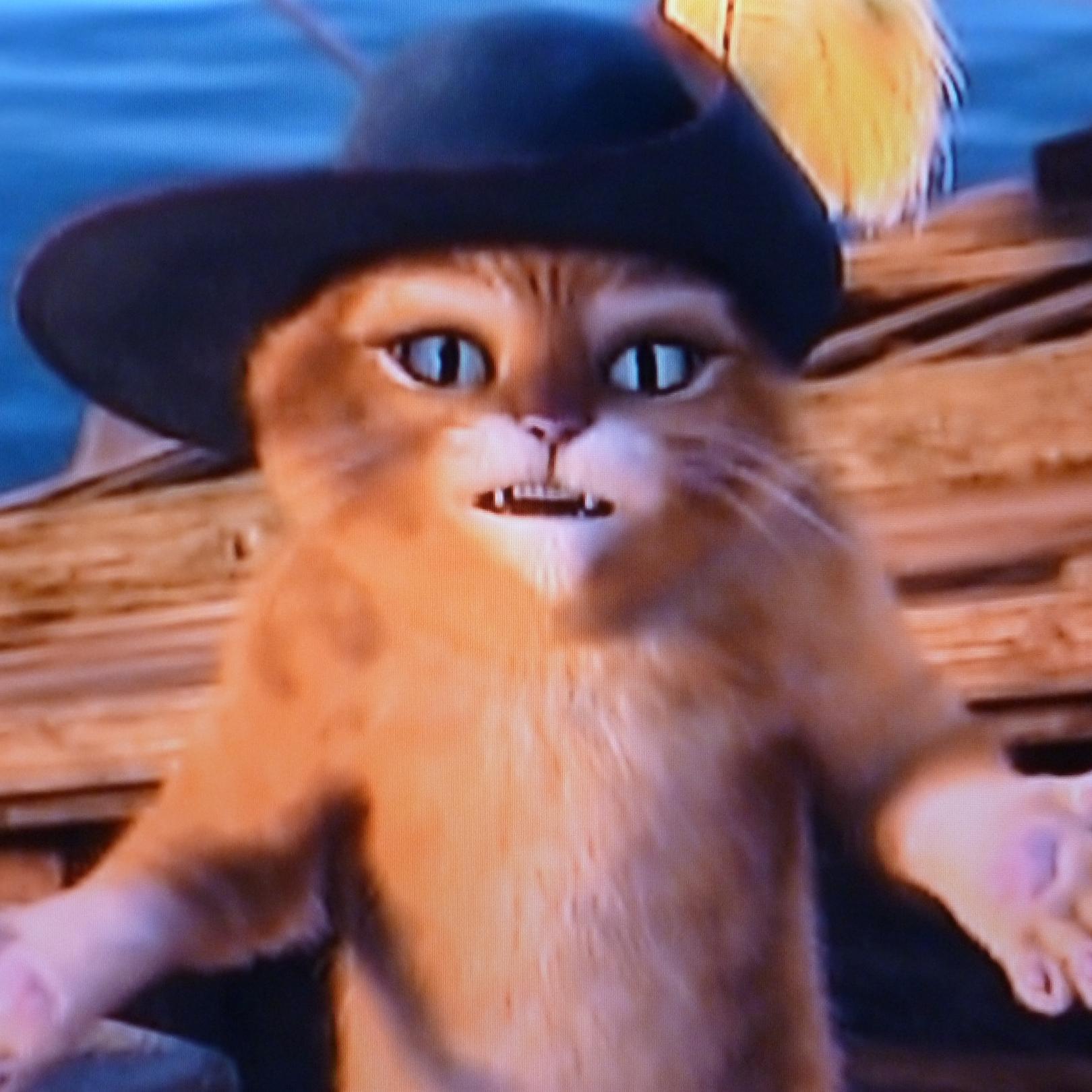 fiorellac39's profile picture. 