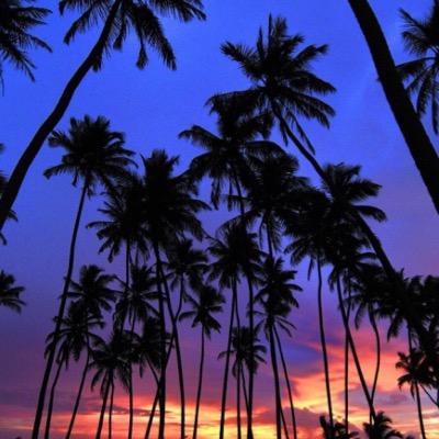 dopevibes0's profile picture. 