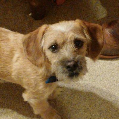 LenobleTrask's profile picture. the bigger you build your empire, the more people want to destroy it