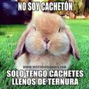 Rosalva Ramirez - @roryespa - Twitter