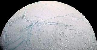 mc18floretino's profile picture. michoacan