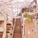정지현 (@01020807951) Twitter