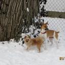 Sharon Clapp - @SDC357 - Twitter