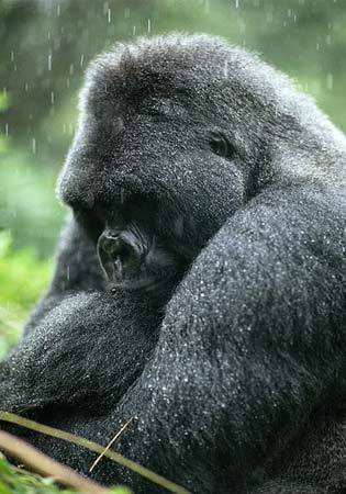 atom_kotaro's profile picture. 京都生まれ。ちゃんとした“いけず”
「いつの時代も、こども達の未来は輝いていなくてはならない」