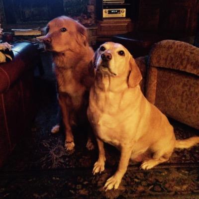 jdar001's profile picture. 