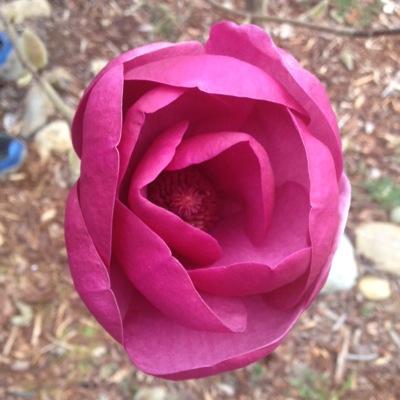 eroondawg's profile picture. mom o 3, PE professional, and so much more!