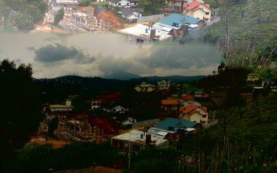 PSivava's profile picture. 