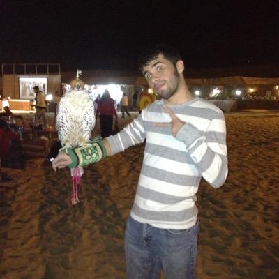 grktom's profile picture. 