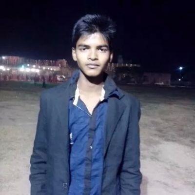 Software Developer