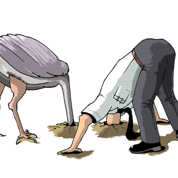 LandMoralHazard's profile picture. Stop ZIKA, Save Mongolia