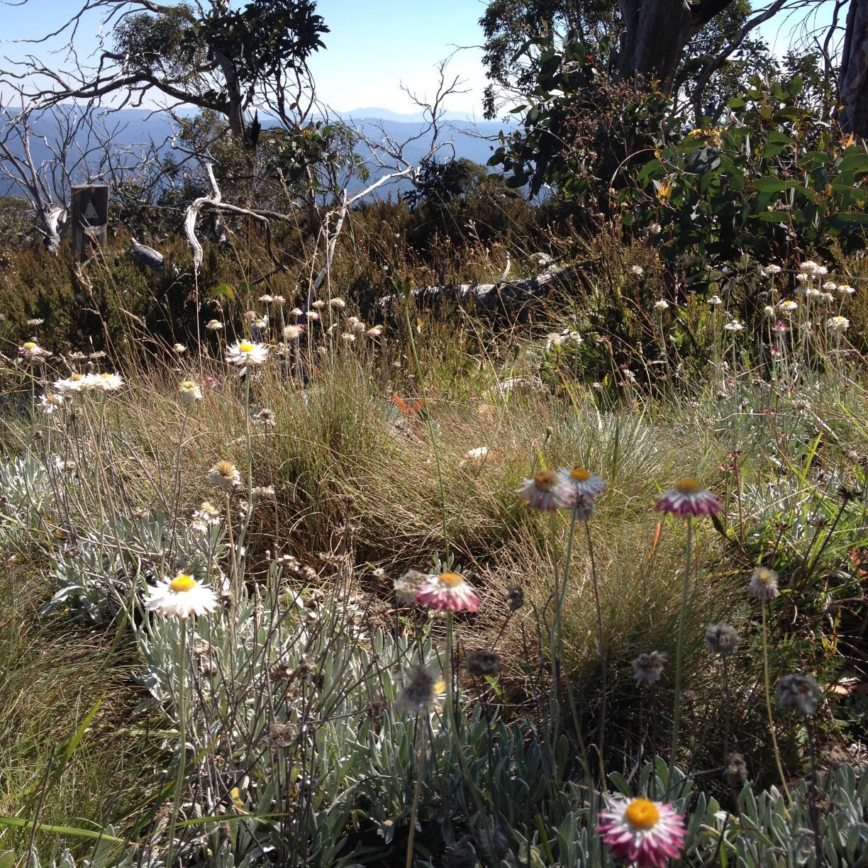 Landcare&Waterwatch