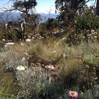 Landcare&Waterwatch (@actlandwater) 's Twitter Profile