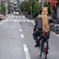 笑!ツイート集 (@yu0218_0218) 's Twitter Profile