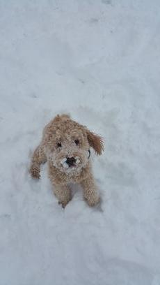 IssangM's profile picture. 