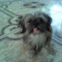 Sujey Isabel Alvarad (@01608Sujey) Twitter