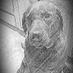 vicky carpenter (@myinfo81537009) Twitter profile photo vicky carpenter (@myinfo81537009) Twitter profile photo