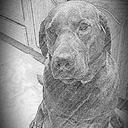 vicky carpenter - @MyInfo81537009 - Twitter