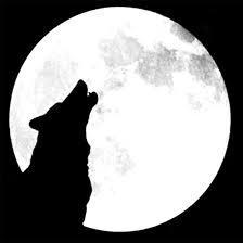 lusfernandez2's profile picture. #Gamer #Twittero profesional. un poco de todo y mas