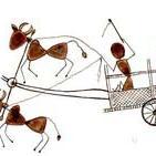 AncientRoots_in's profile picture. Ancient Roots is about Reconnecting with the Earth-based Traditions and Wisdom of our Ancestors.
Ancient Roots is for an Eco-Spiritually Conscious Development.