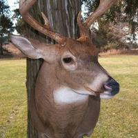 Jim Schofield (@jschofieldjr) 's Twitter Profile