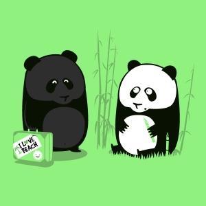 I am Pandy, welcome to my playground.
