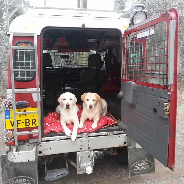 josevanbruggen's profile picture. 