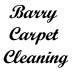 Professional Cleaning Service and Carpet Cleaner