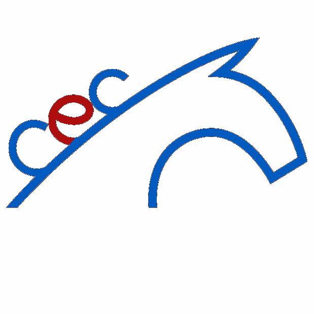 The Chiltern Equine Clinic gives you peace of mind when it comes to your horse's veterinary care.