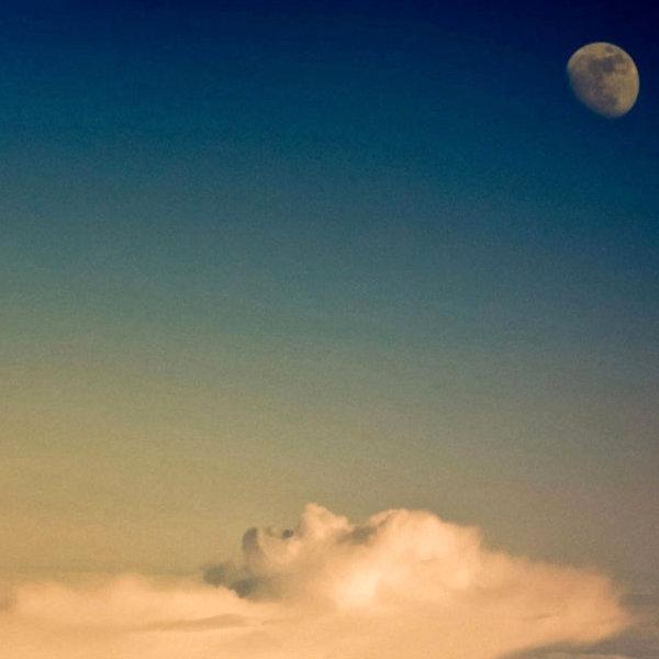 NaxXmas's profile picture. 