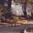 AmrAbdel_hady's profile image