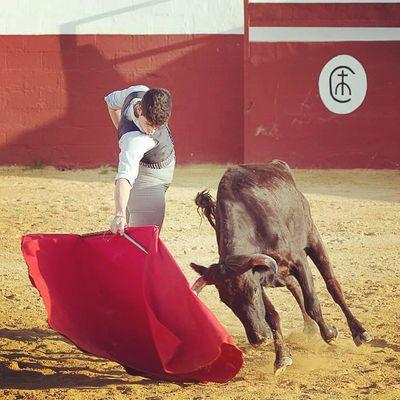 Humildad, Esfuerzo, Sacrificio, Costancia, Ambicion y Sencillez!!                                     instagram: juansolismanri