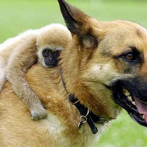 typingmonkey's profile picture. peasant with a colour tv.  
impeccable taste.  
dogs like me.