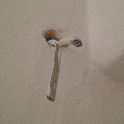 VittoriaTonelli's profile picture. 