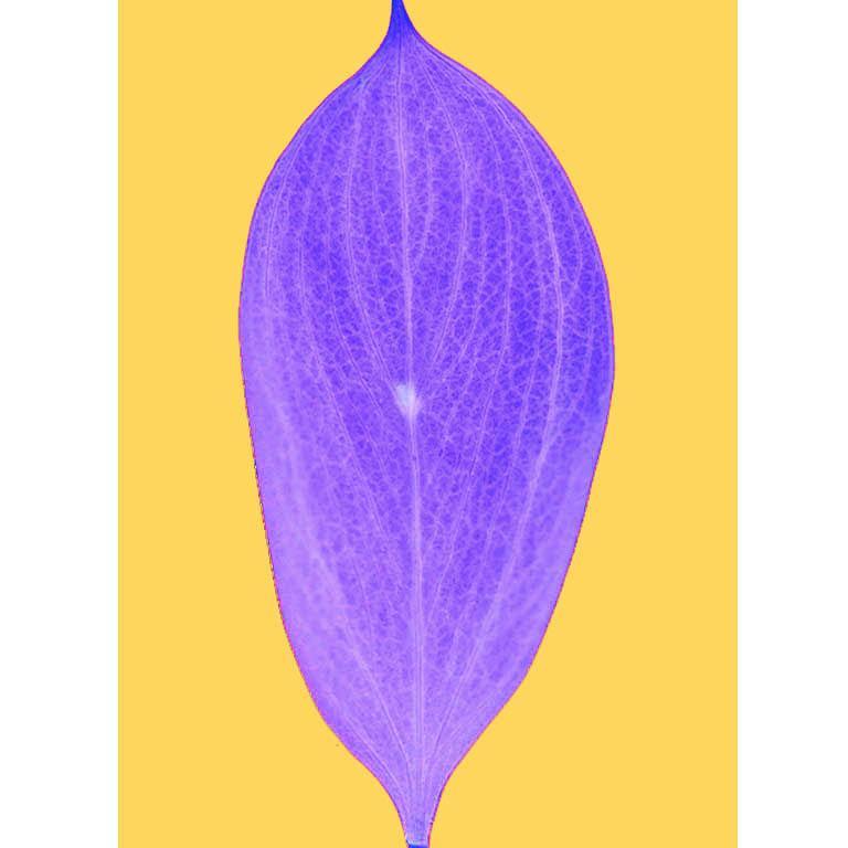 CmagzineC's profile picture. 