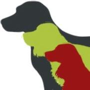 for the best in gundogs, breeders, trainers & information