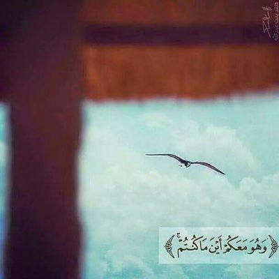 HeebaaIbrahim's profile picture. آللهّمُ إني أَسْأَلُك رِضَاك و الجنة ..