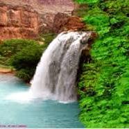 atwal8209atwal's profile picture. 