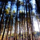 heather millett - @heatherjade_7 - Twitter