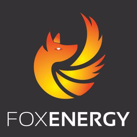 Fox Energy is a unique complete Business Energy Contracts Management Solution which delivers the most competitive supplier rates on the UK Energy Market.