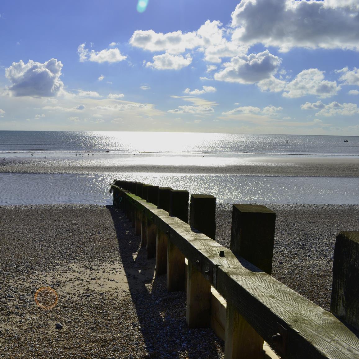 Pier555's profile picture. 