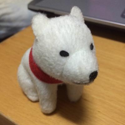 なんとなく呟き、リツイートといいねしまくった挙句、思い出したように診断メーカーで遊ぶ。それが私のTwitter