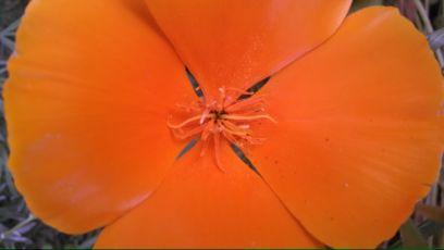 artwastrash's profile picture. Travelling artist, Fashion Collection designer, photographer striving 2 get healthier; soaking up nature's beauty; laughing much; finding joy