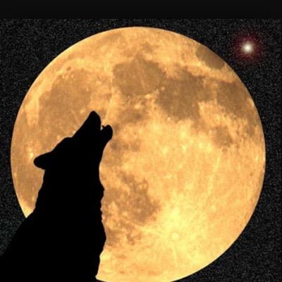 2015/2/24Twitter開始。 趣味は人狼、株、将棋です。