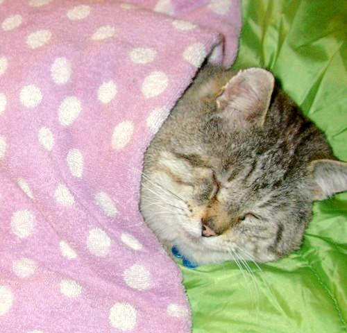 atoms179's profile picture. 