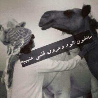 BB: 574395E4  سناب :baax5